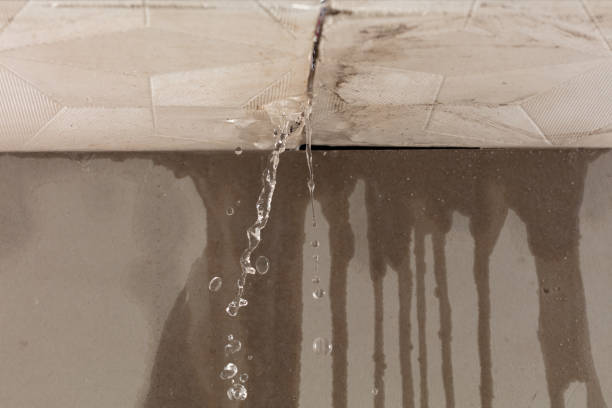 Professional Water Extraction technician working in Cedar Grove, NC
